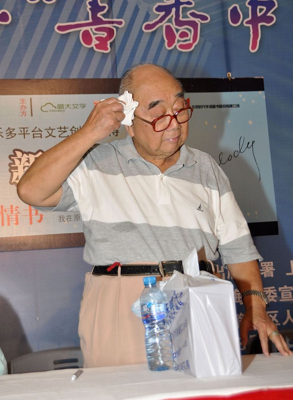 许渊冲之子许明选择在国外发展,受多元文化影响形成独特艺术风格,通过