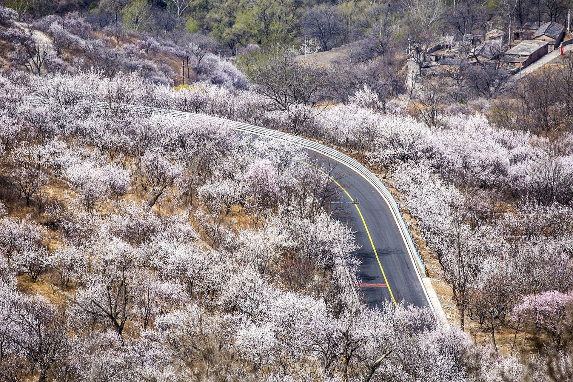 金堂梨花沟风景区电话图片