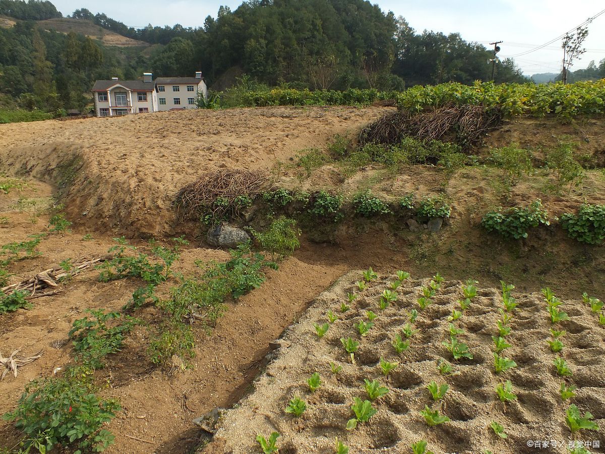 契约精神何在?交钱才让农民种地,太欺负人了!