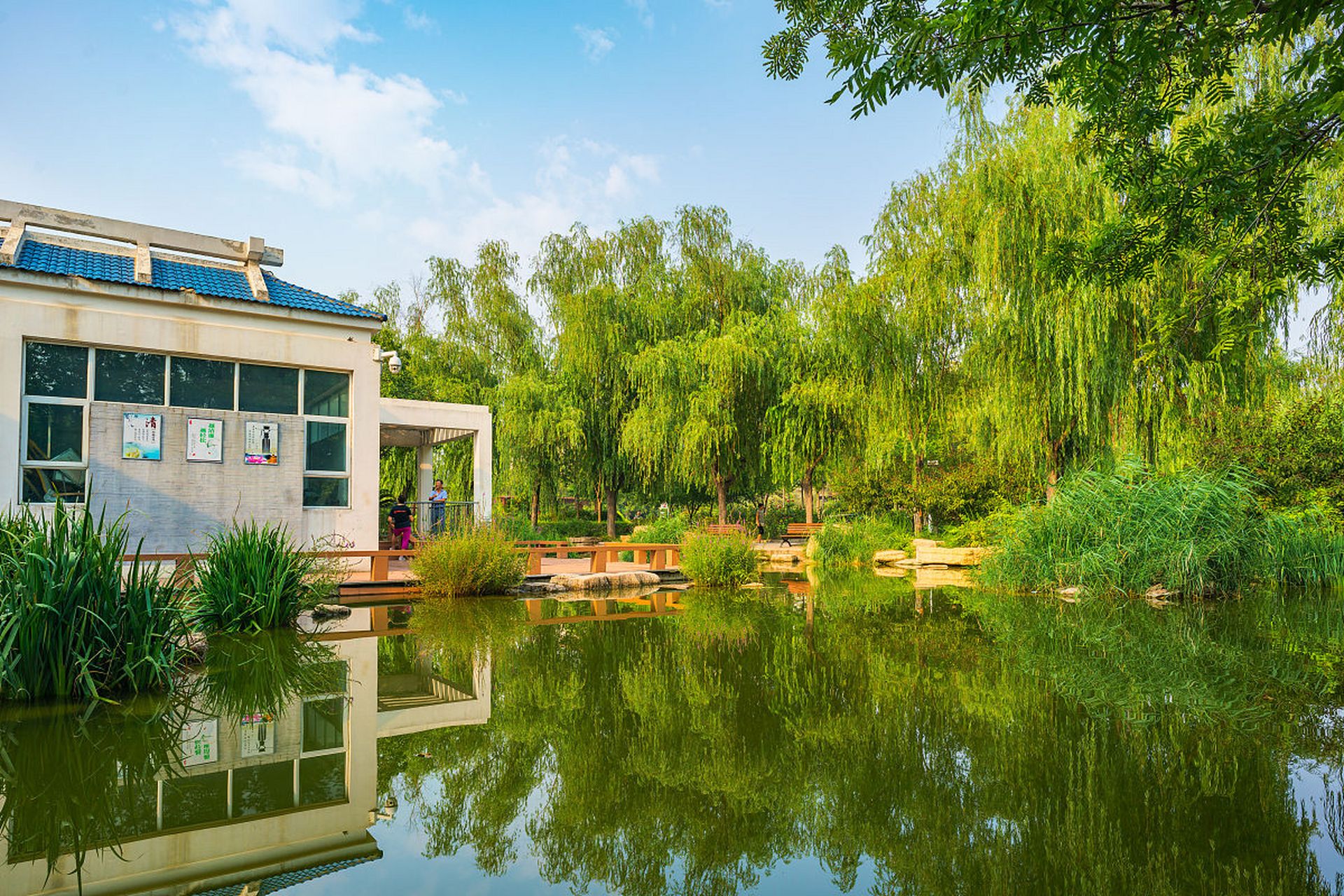 上次假期,我去了河南濮阳的中原绿色庄园,真是让我大开眼界,流连忘返