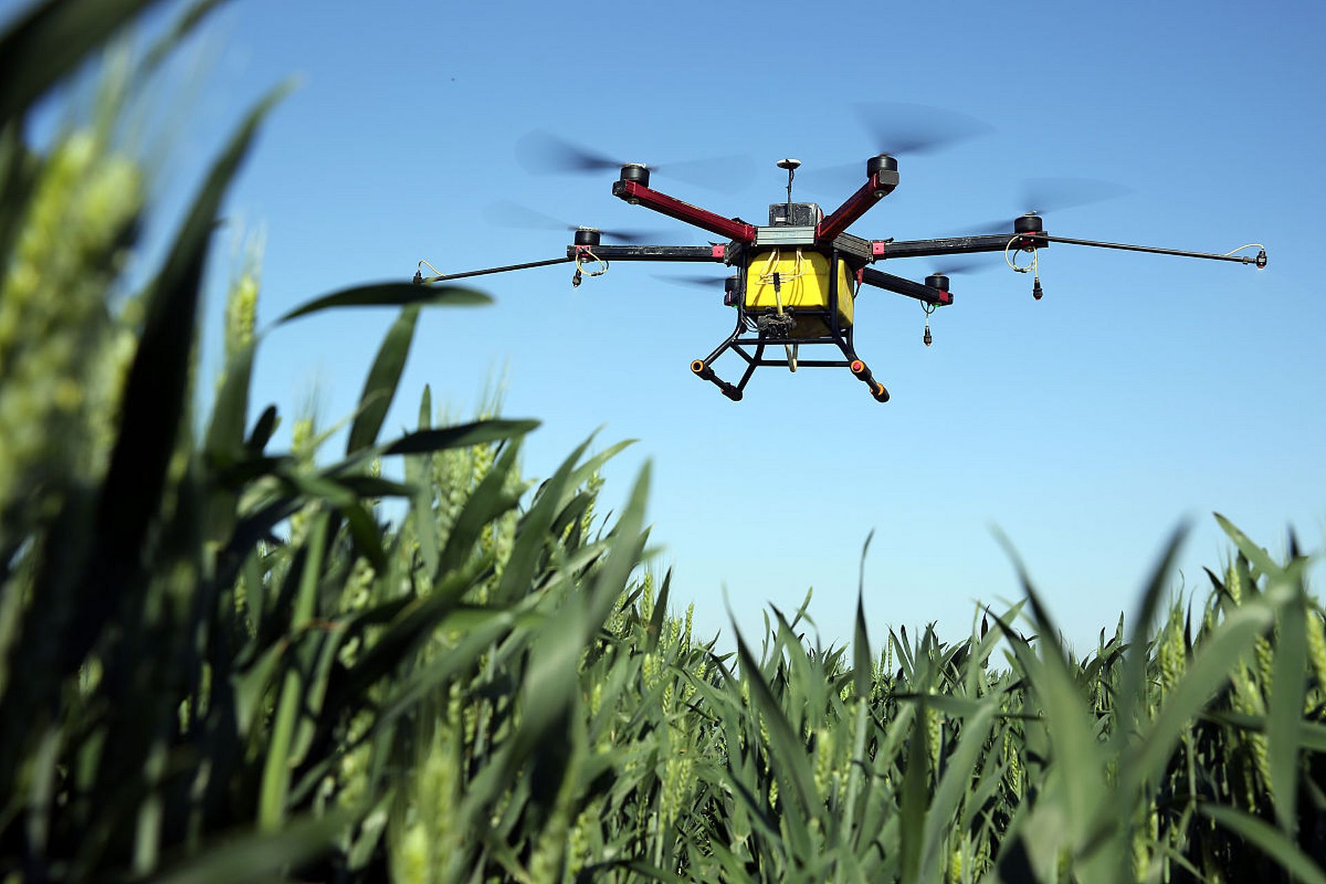 玉米种植精细化管控,玉米水肥一体化追肥 在具备喷滴灌条件的农田,雨