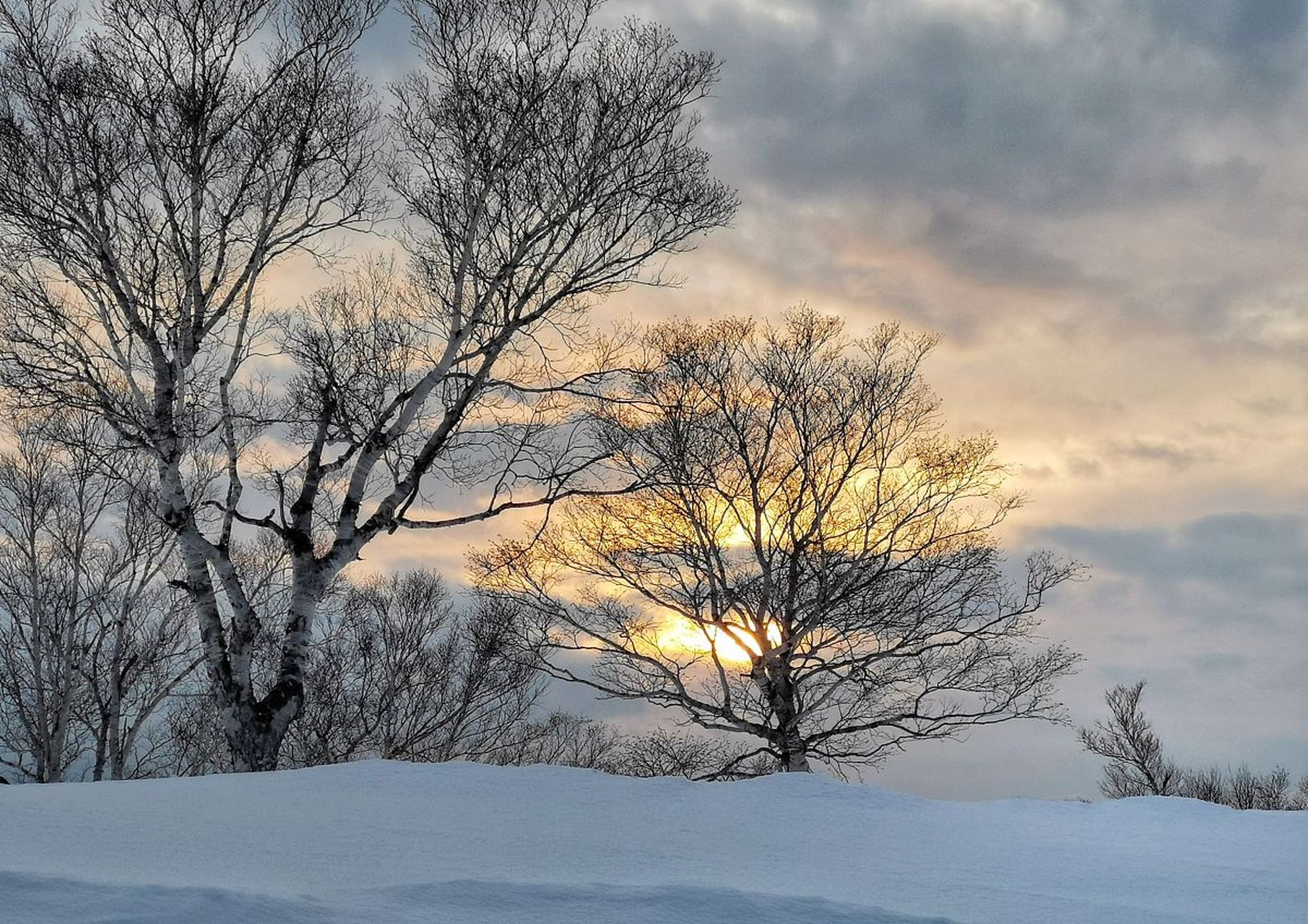 冬日的黄昏,夕阳洒在雪地上
