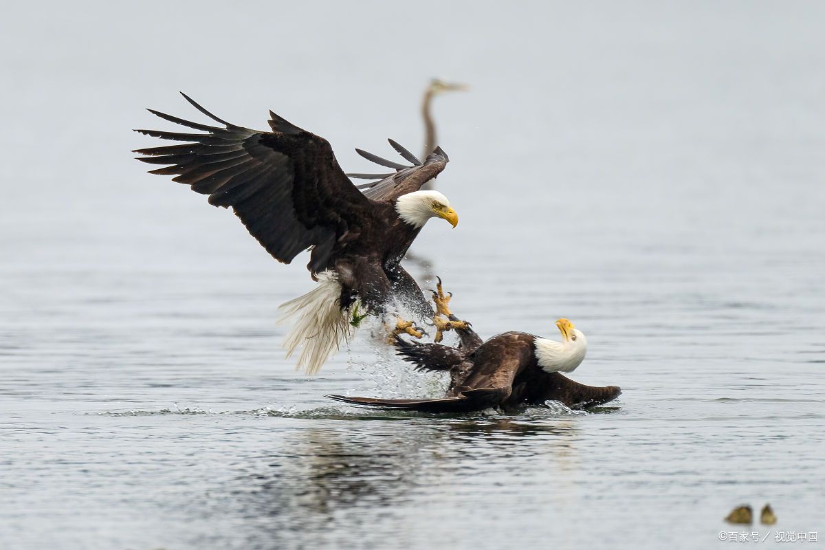 4月16日中证报表示货币政策储备充足,该出手时必出手
