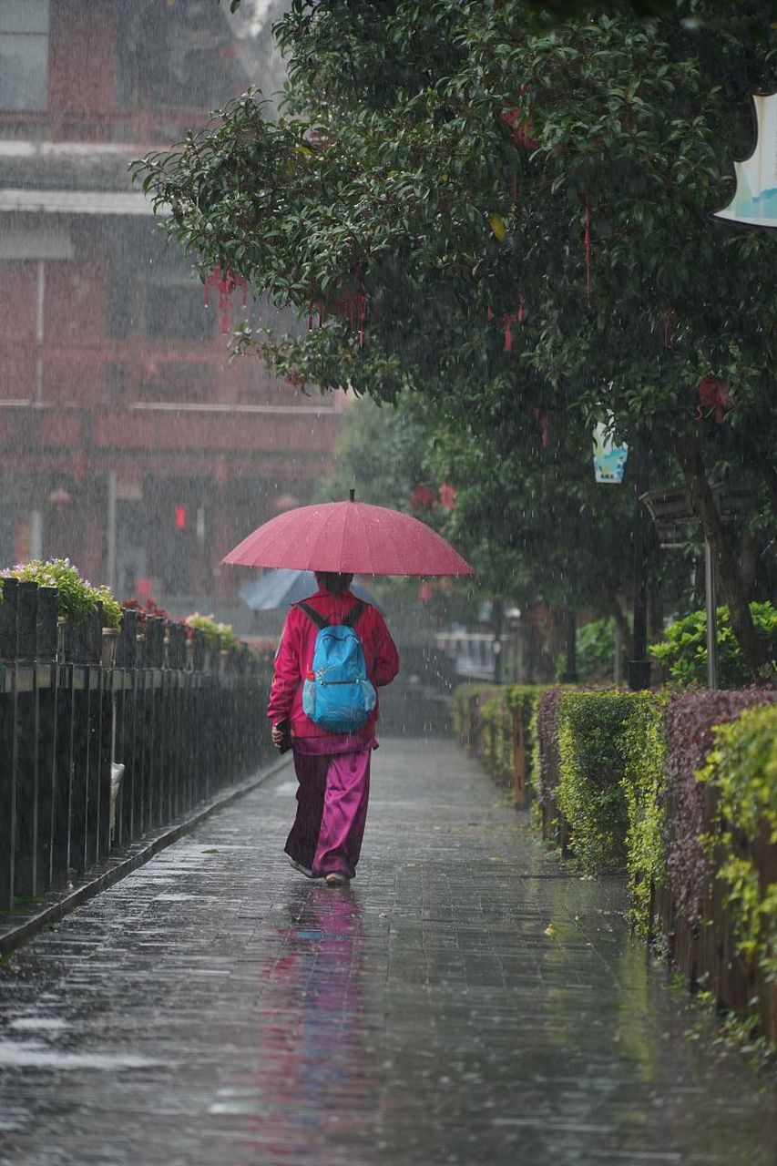 拍摄行人和孩子在雨中打伞或嬉戏的场景时,要考虑到光线,动态,构图和