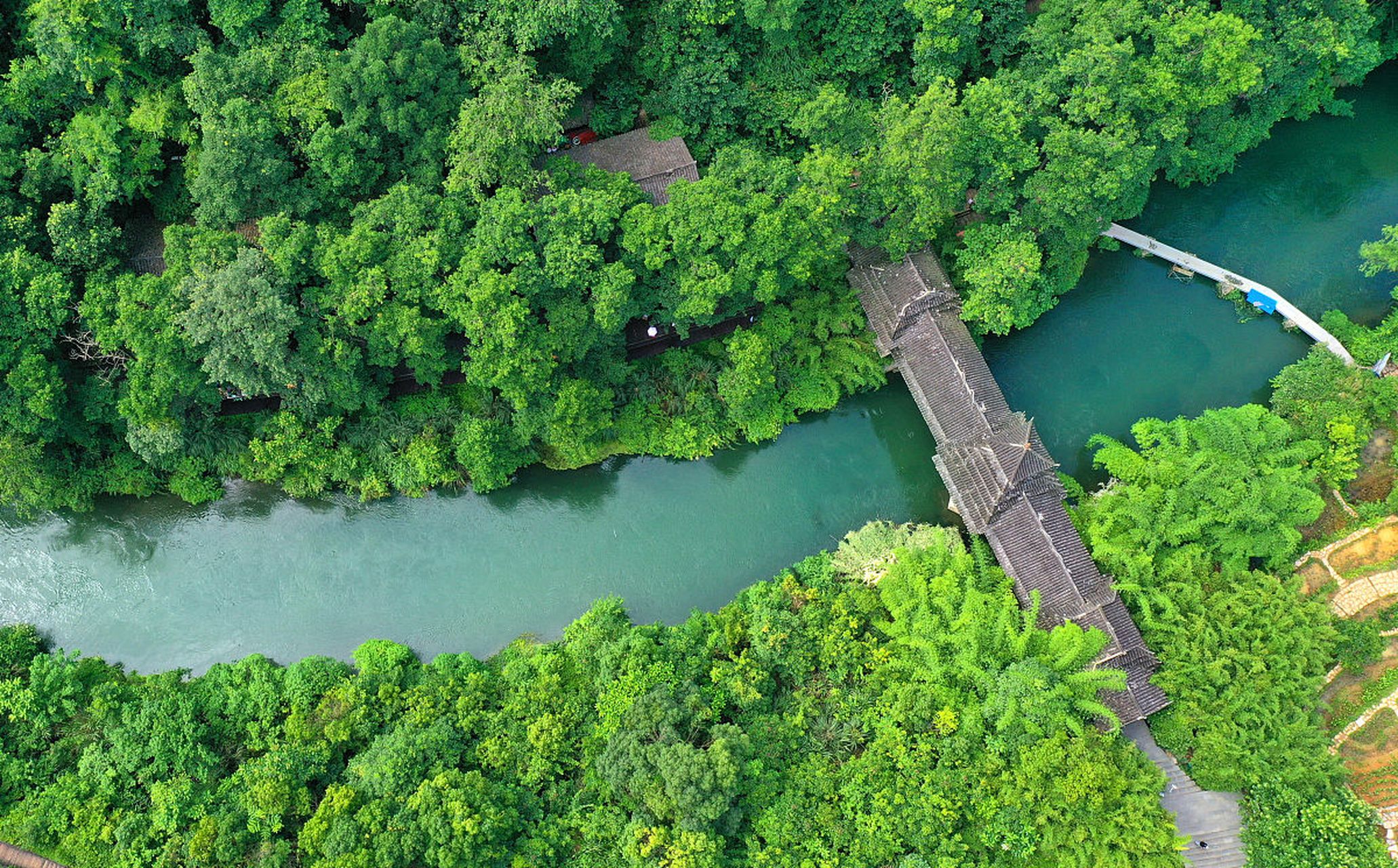 中山;翠亨国家湿地公园