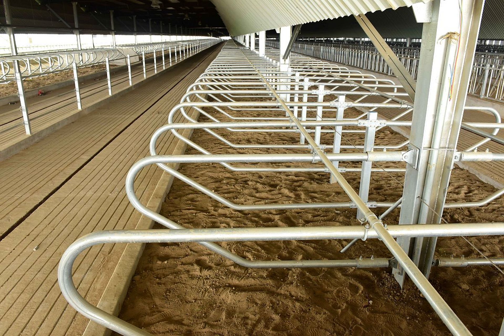 在建造牛舍时,需考虑位置,材料,设计和技术等多个因素,以确保最佳的牛