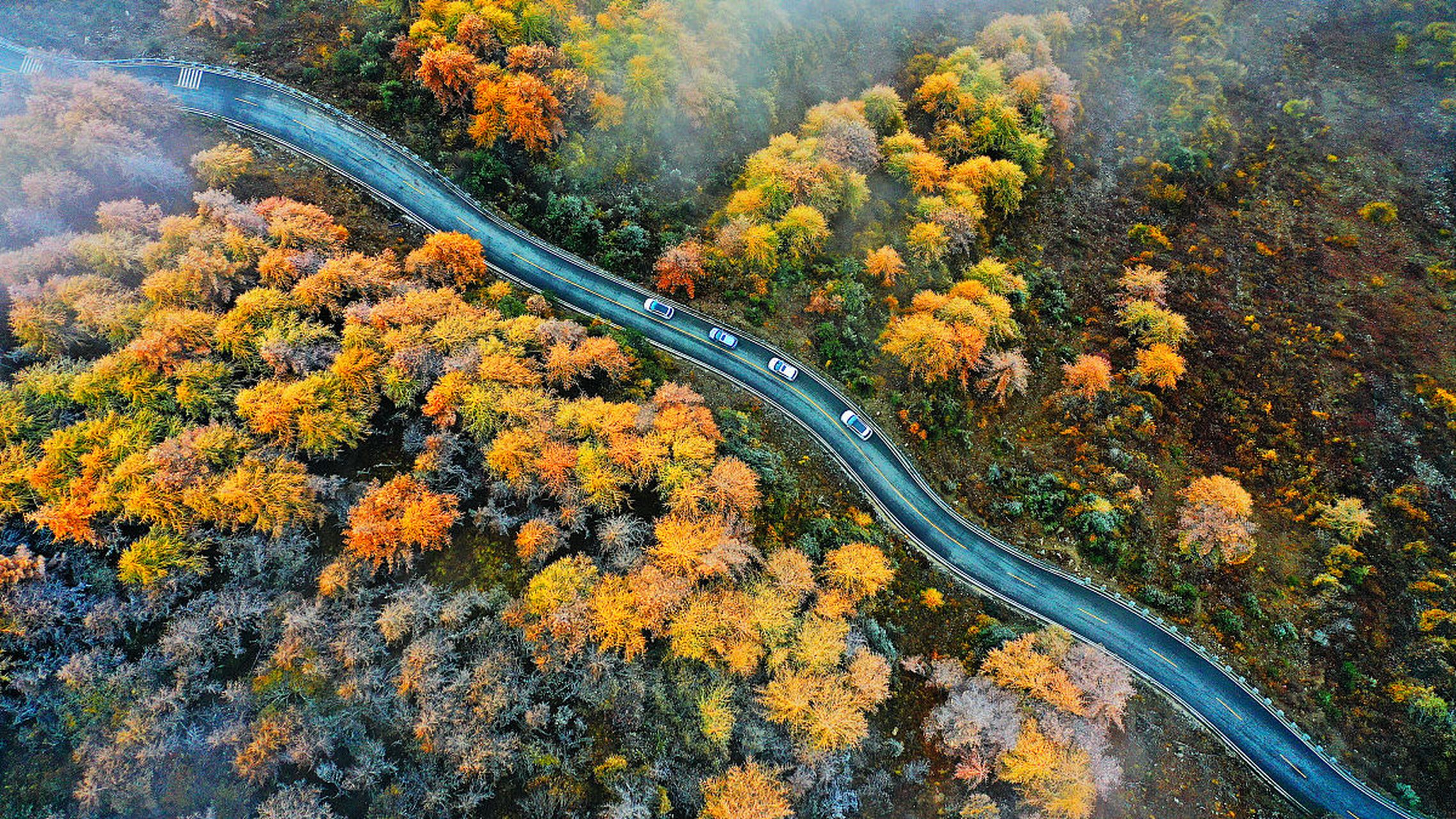 重逢巴蜀# 夹金山位于四川省雅安市宝兴县与阿坝州小金县交界处,是