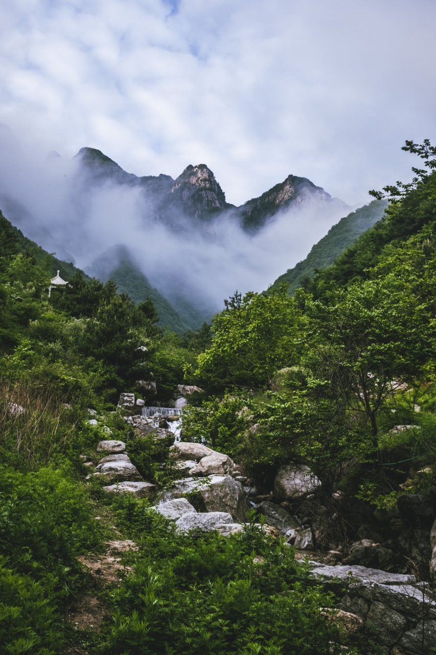 秦岭不仅具有重要的自然价值,还承载着丰富的历史和文化内涵.