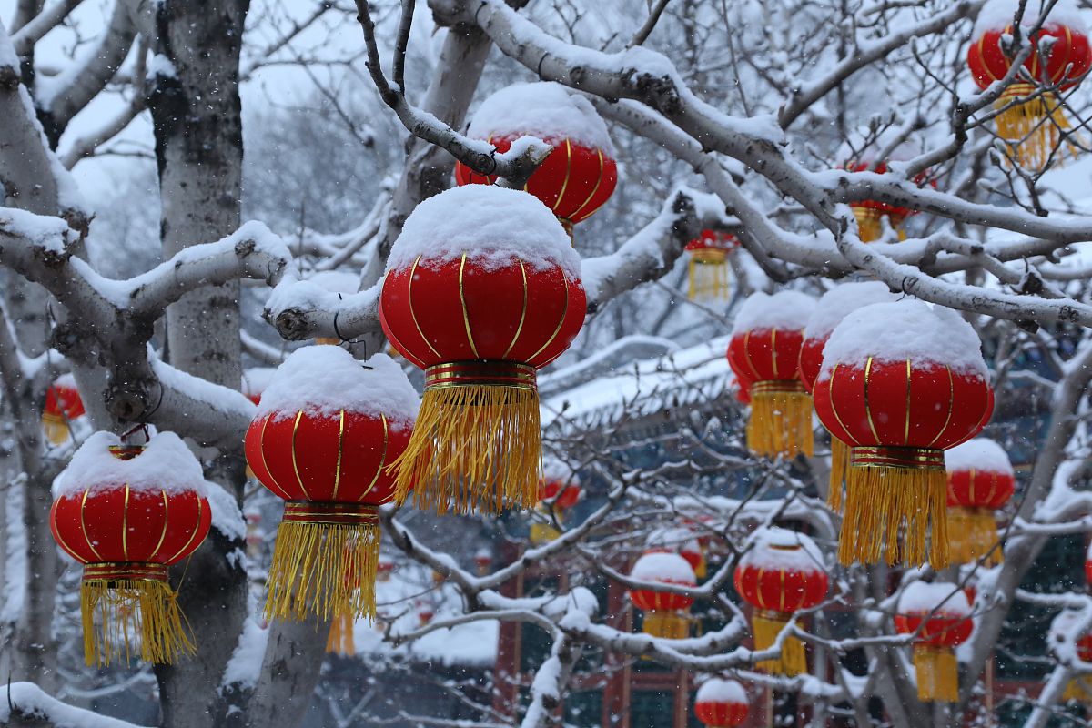 大雪实景图图片