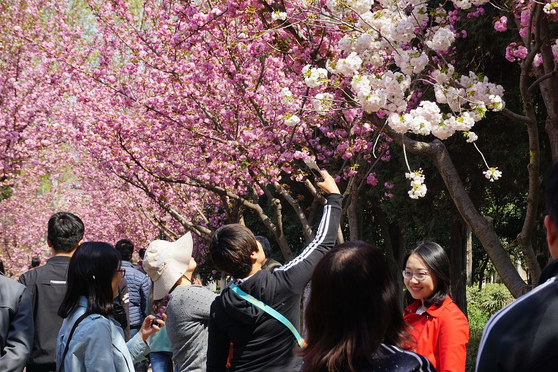 最近,中国科技大学采用了c7的叫法引起了大家热议!