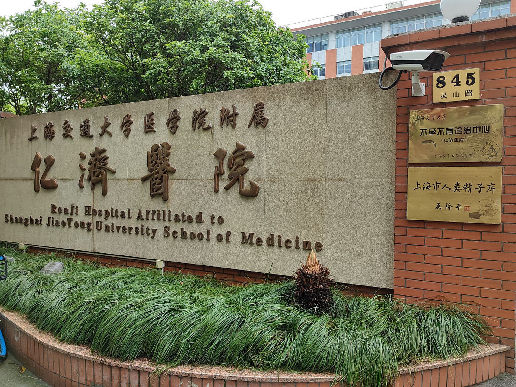 上海同济大学的医学院,虽然不是老牌医学院,但就业还是相当不错的,留