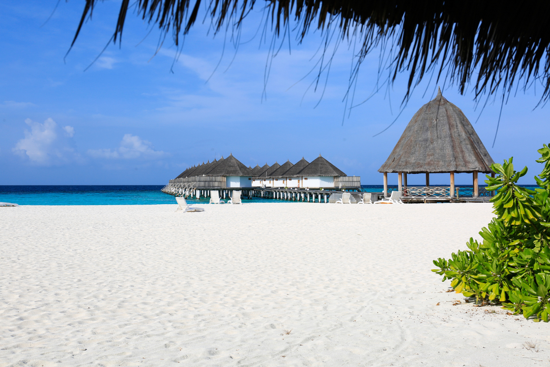 马尔代夫香格里拉岛是一座六星级的顶级奢华岛屿,6公里的极美海岸线和