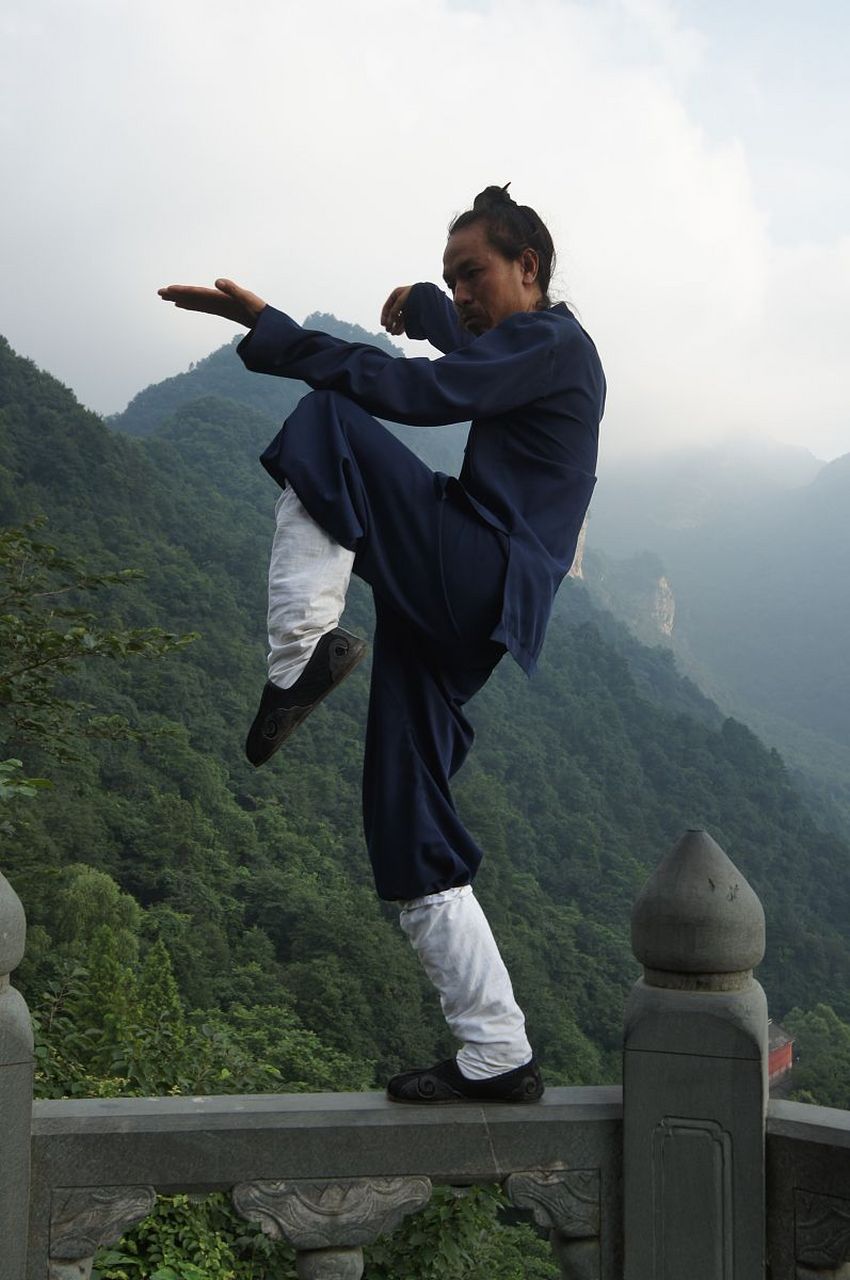 武当伏虎拳,这门源远流长的武术绝学,汲取了中华武术的精华,凝聚了