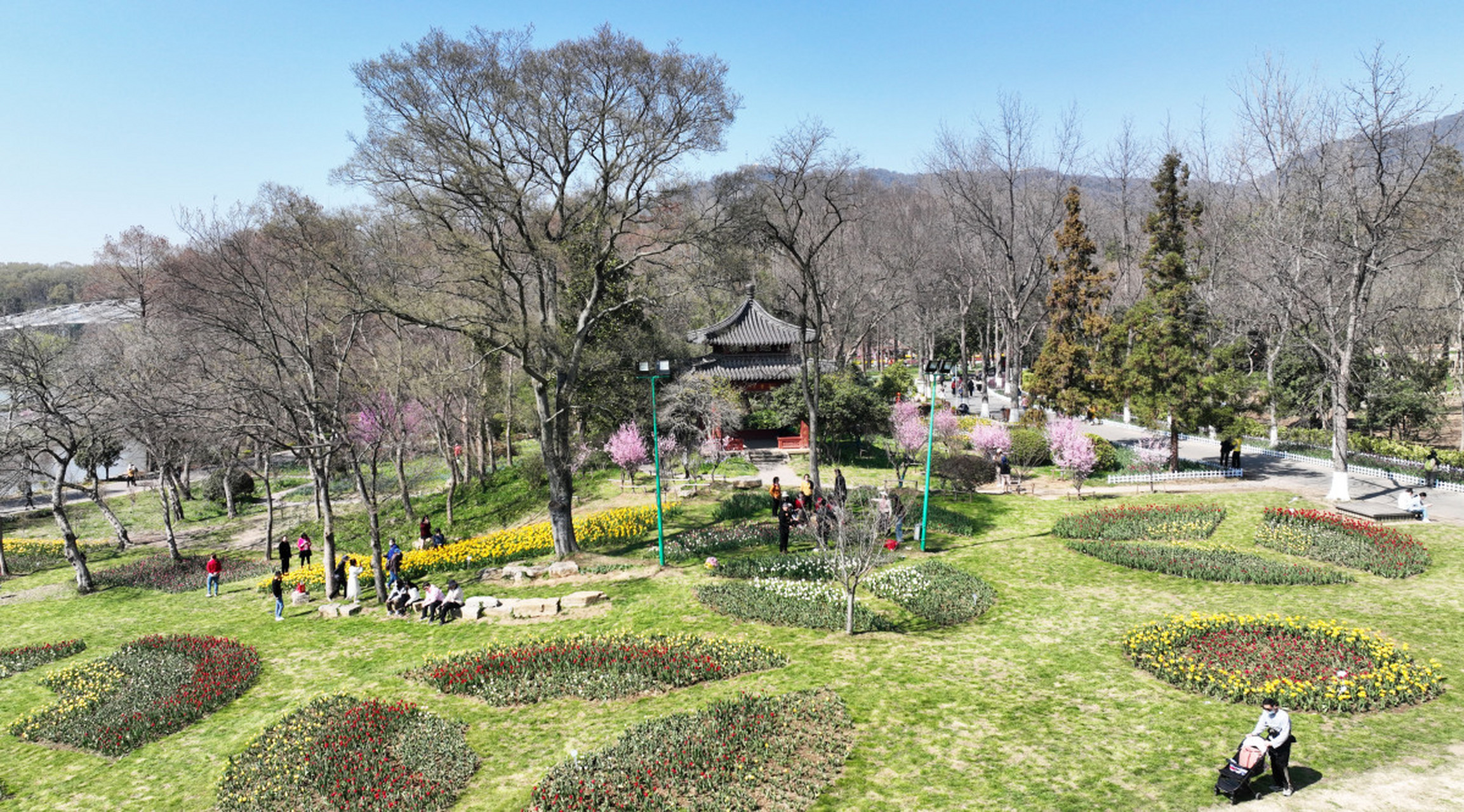 正是百花争艳时,五顶茂岭山公园内也是一派春意盎然的景色.