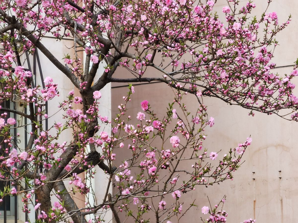 一寸相思心内痛,急风暴雨洗情空.成过往,茶余饭后笑谈中