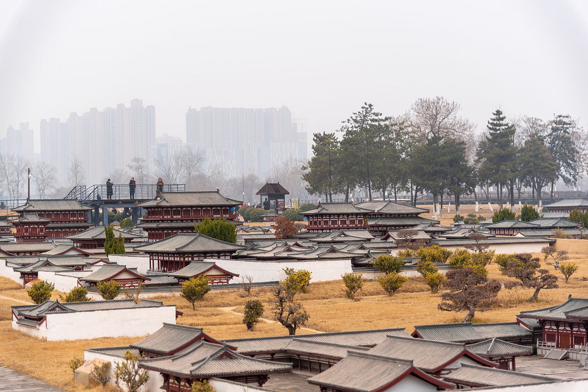 周原景区简介|以下是周原景区的简介:  **地理位置**:位于陕西省宝鸡