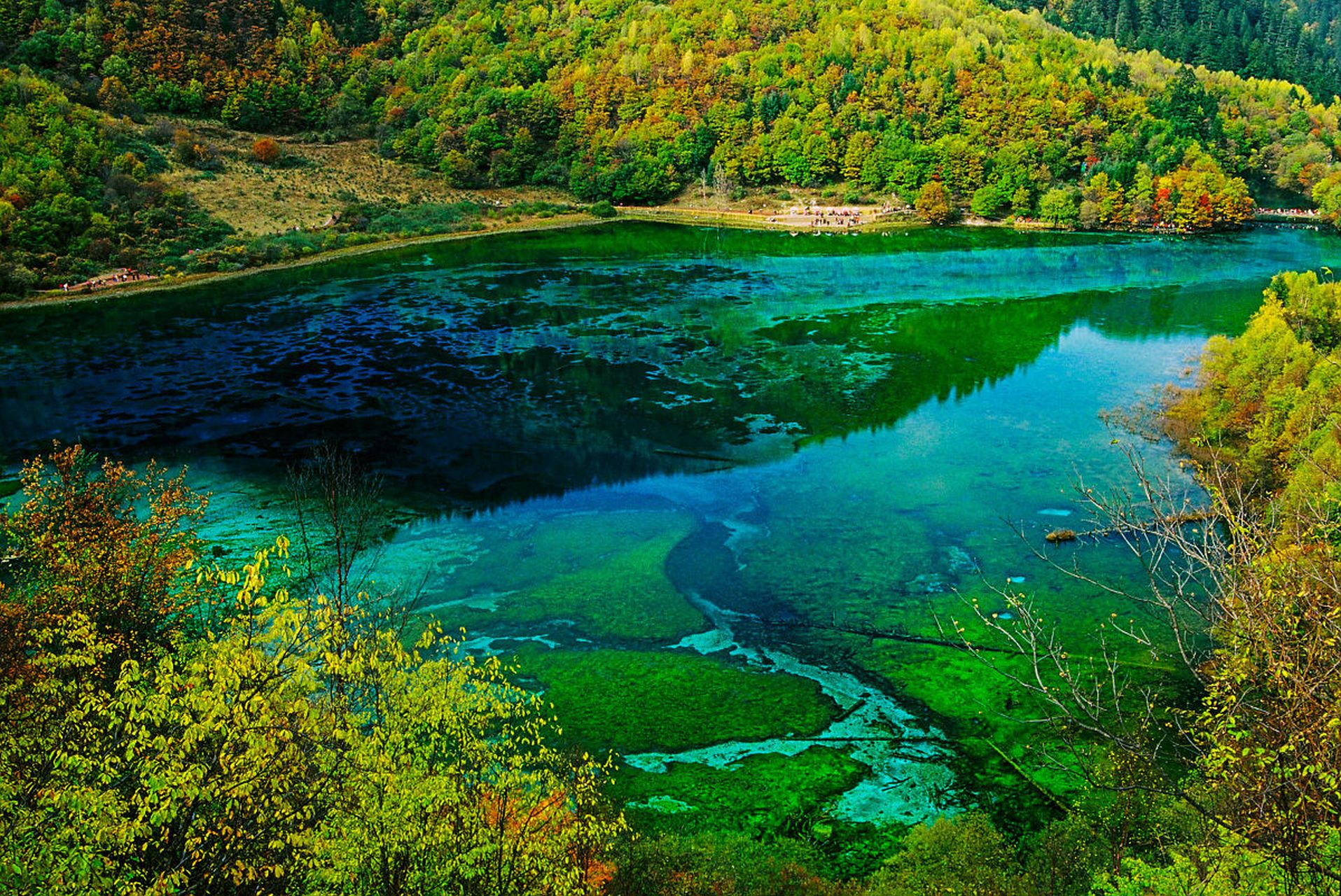 秋天的九寨沟,五彩斑斓,湖水如镜,倒映着五颜六色的山林,令人陶醉