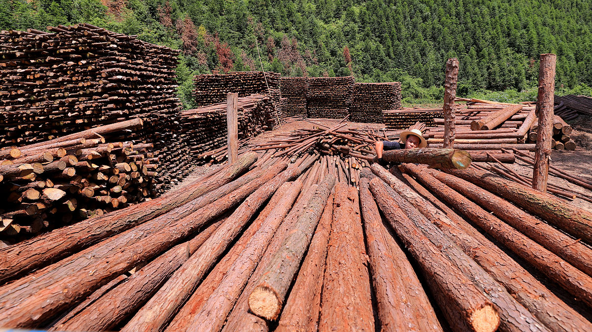 全地形伐木机:机械设备中的森林卫士