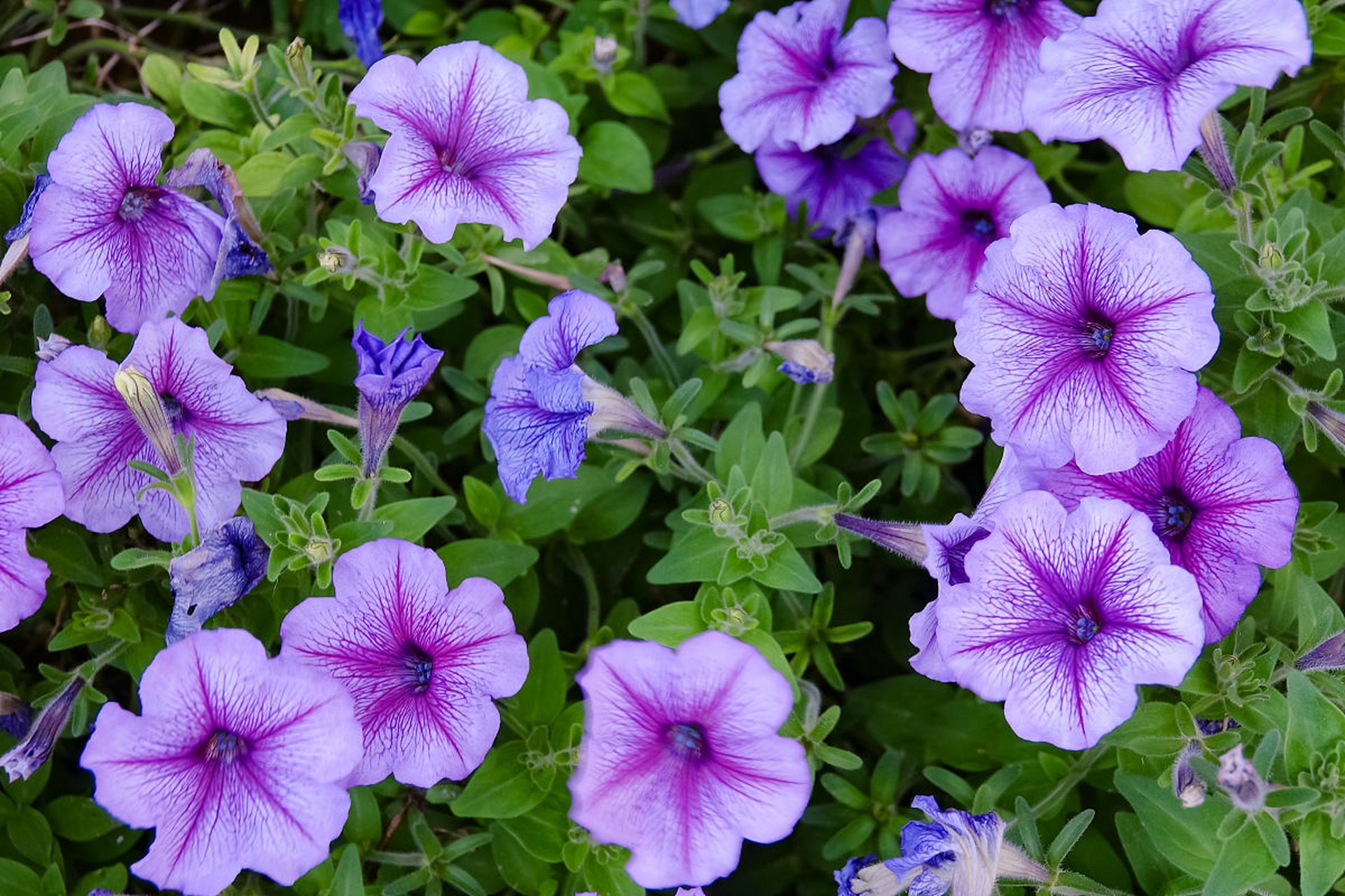 邻居突然张嘴向我借10000块钱,说要带孩子回娘家玩