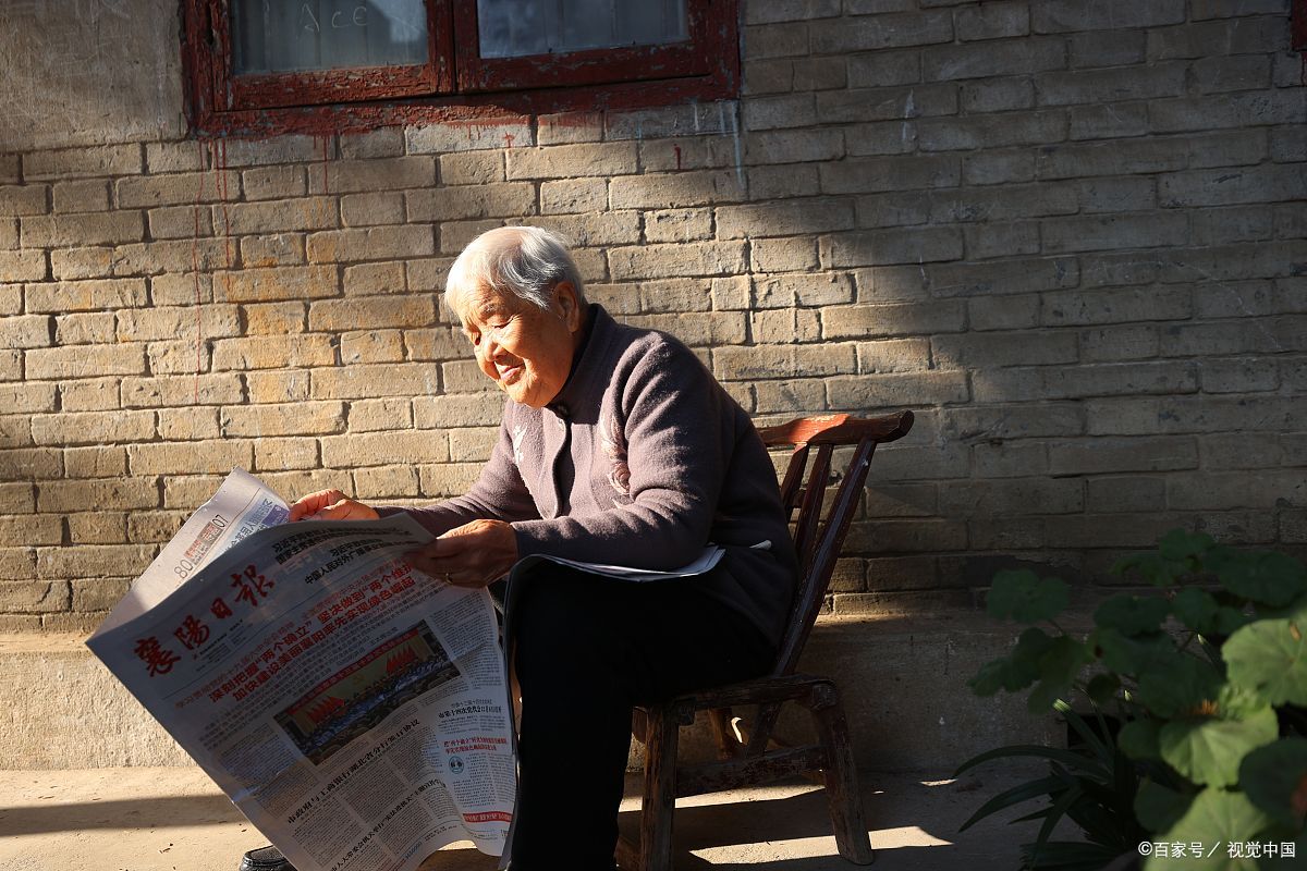 某日切开发酵层,发现菌丝排列成城市地图