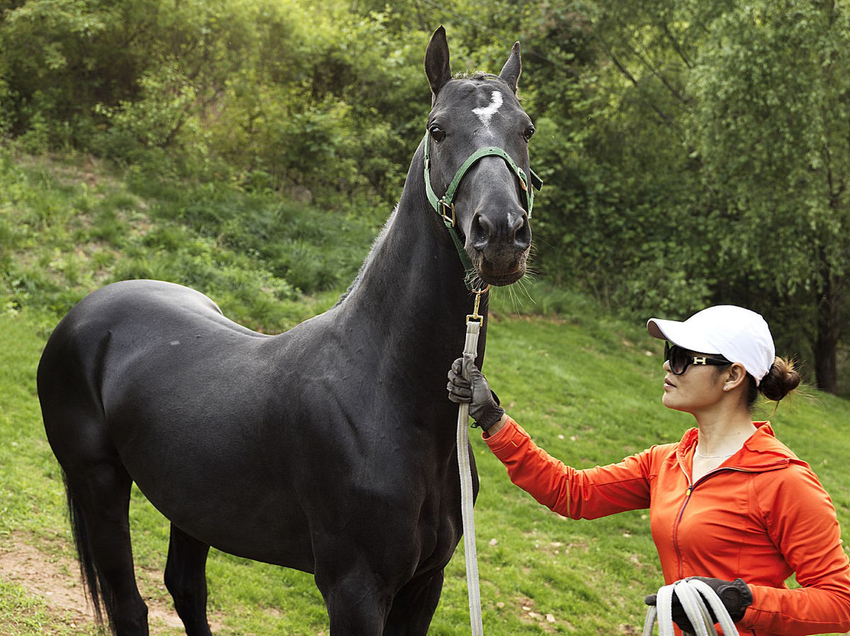 它们以豪情万丈的姿态,激发了人们对自由的向往.#动物趣图