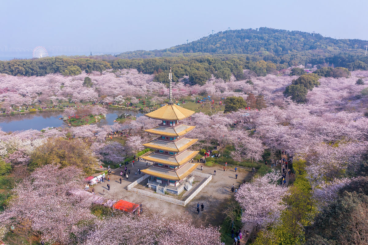 九游体育- 九游体育官方网站- 九游娱乐APP下载- 助力世界杯和朋友五一出游桂林旅游攻略详细线路都准备好了这篇桂林 5 日游攻略包含 20 元取景地和象鼻山的精华体验