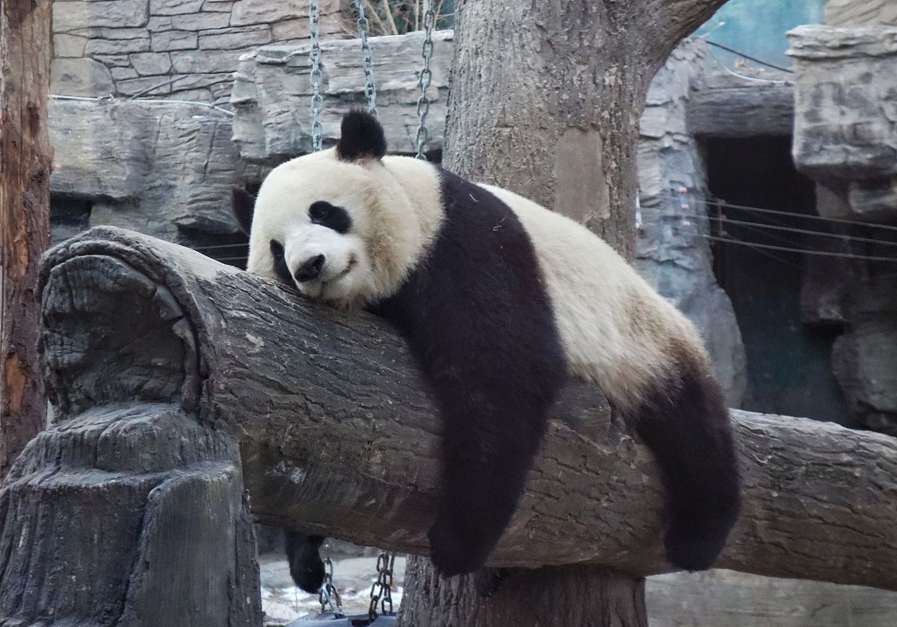 多年后的自己真的会感谢现在坚持的我吗 今天才知道原来累还能分成吃