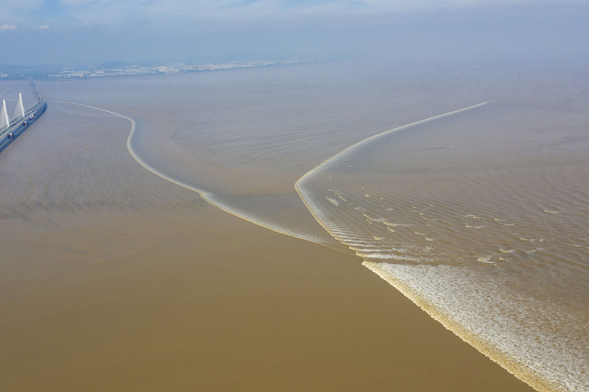 錢塘江大潮之嘉紹大橋