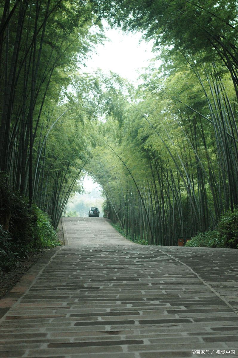 蜀南竹海一日游的最佳方案 蜀南竹海,这个位于四川省宜宾市翠屏区的