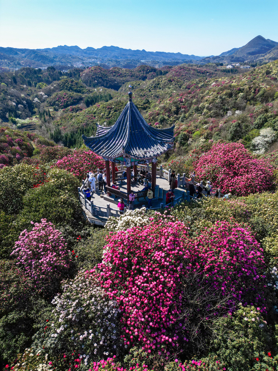 陕西·铜川  照金香山,一处集红色历史与自然美景于一体的旅游胜地