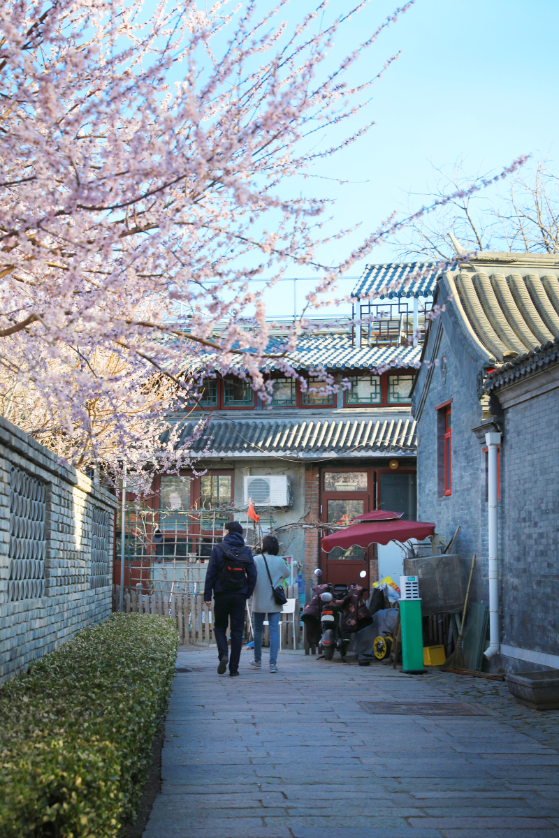 北京西堂子胡同四合院:穿越时光,探寻古都韵味  嘿,小伙伴们,想要在