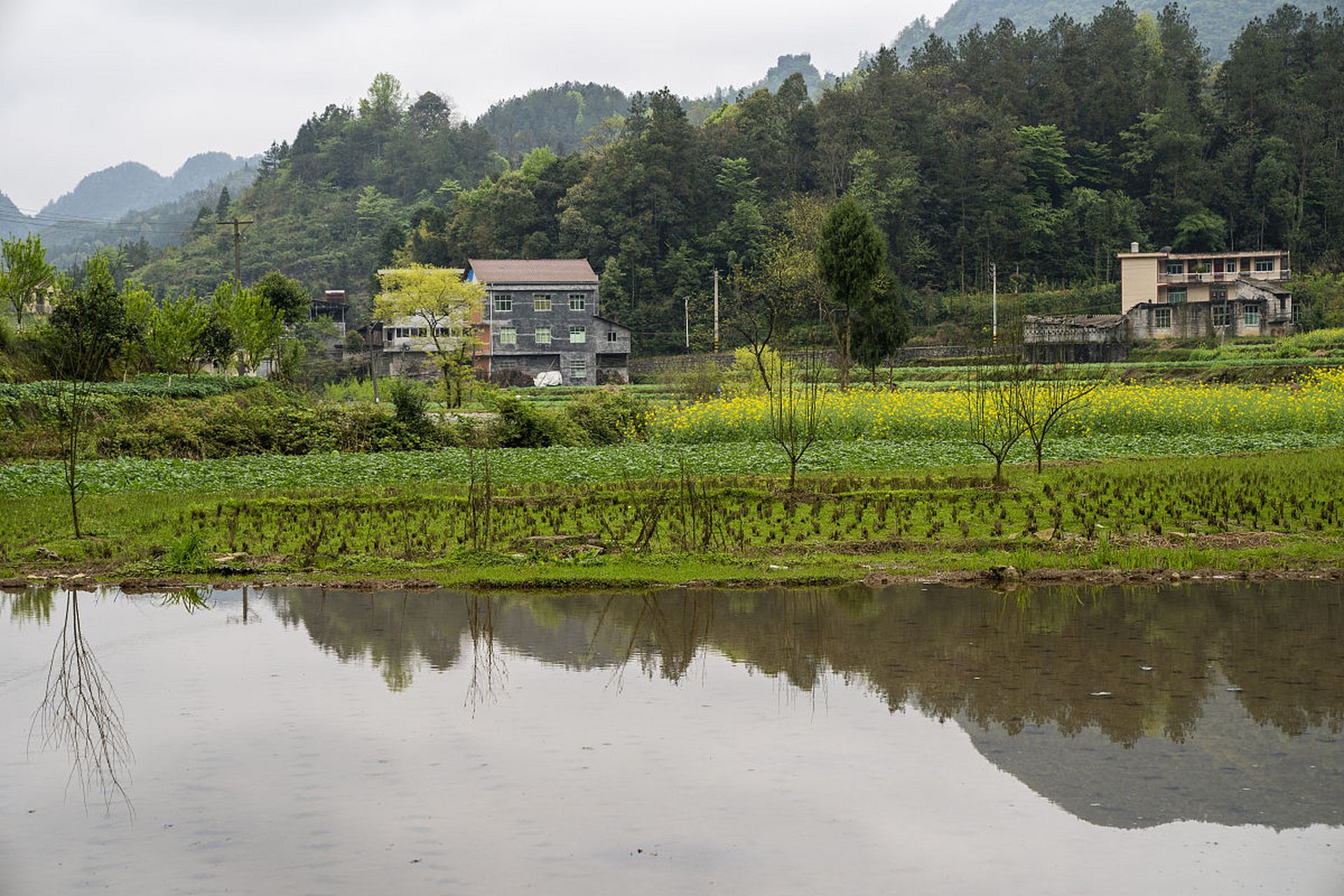 在我向往的乡村生活中,我会选择一个美丽的小山村,这里山清水秀,空气