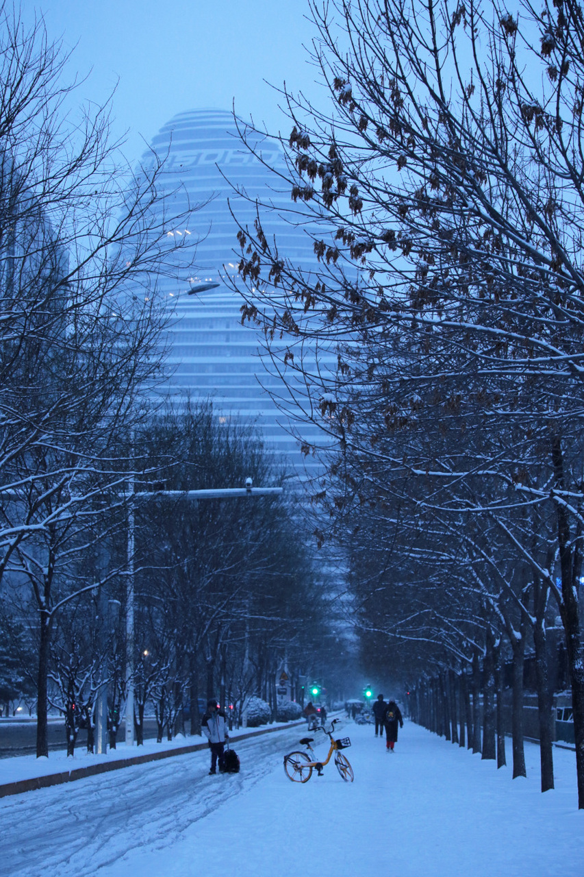 城市雪花飘飘图片图片