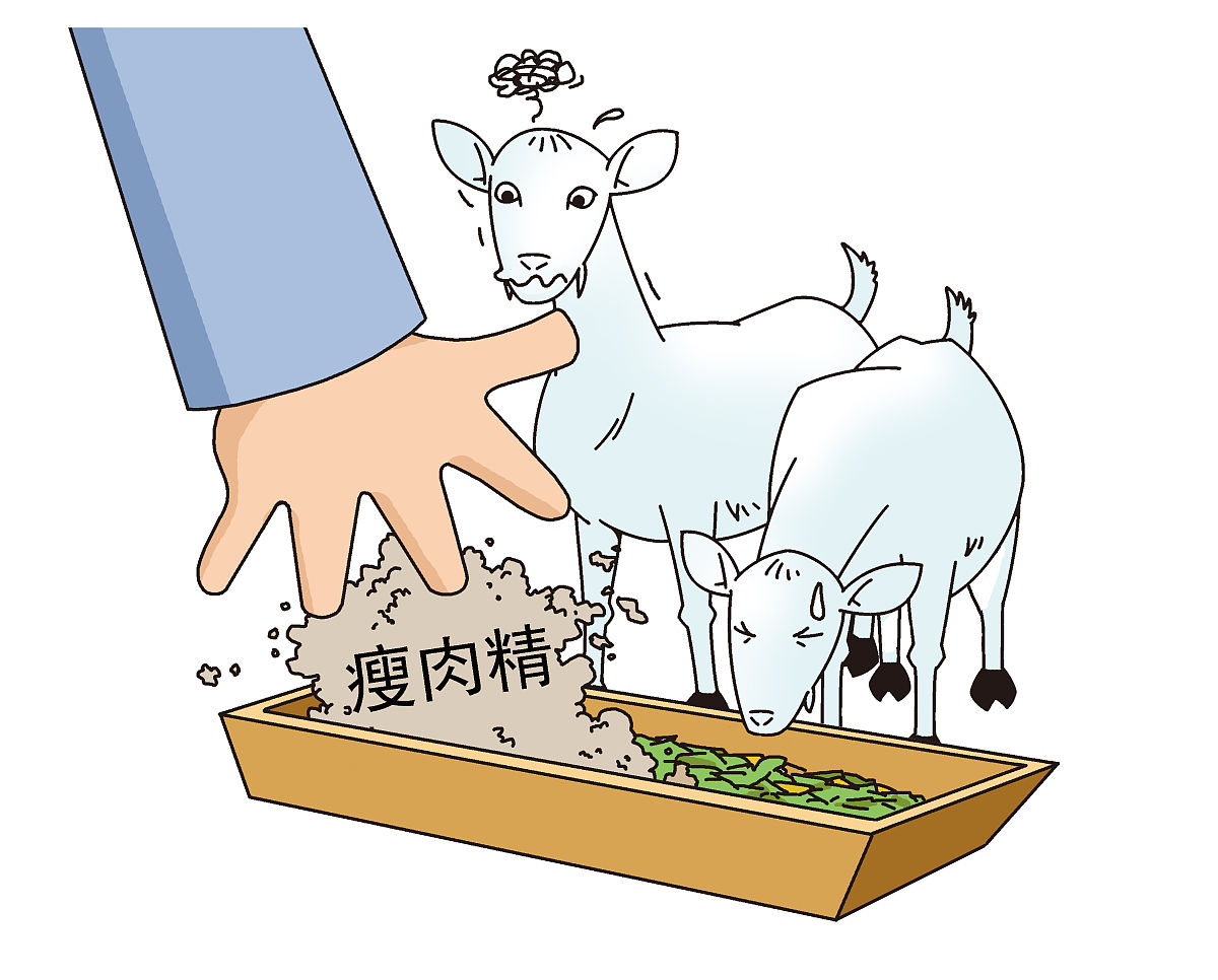 315晚会曝光了"瘦肉精羊"的一些问题