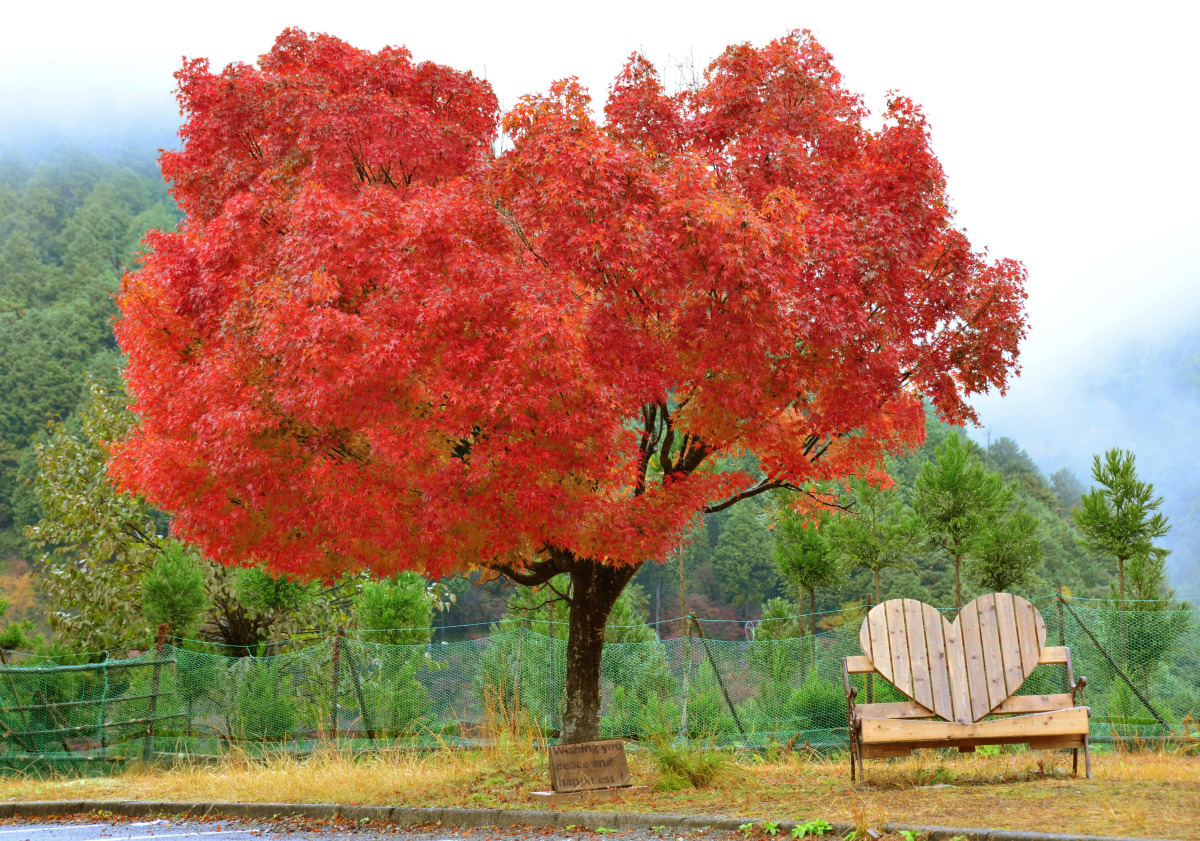 爱赋予的力量	 时光悄悄流逝,光阴不再使你我天真