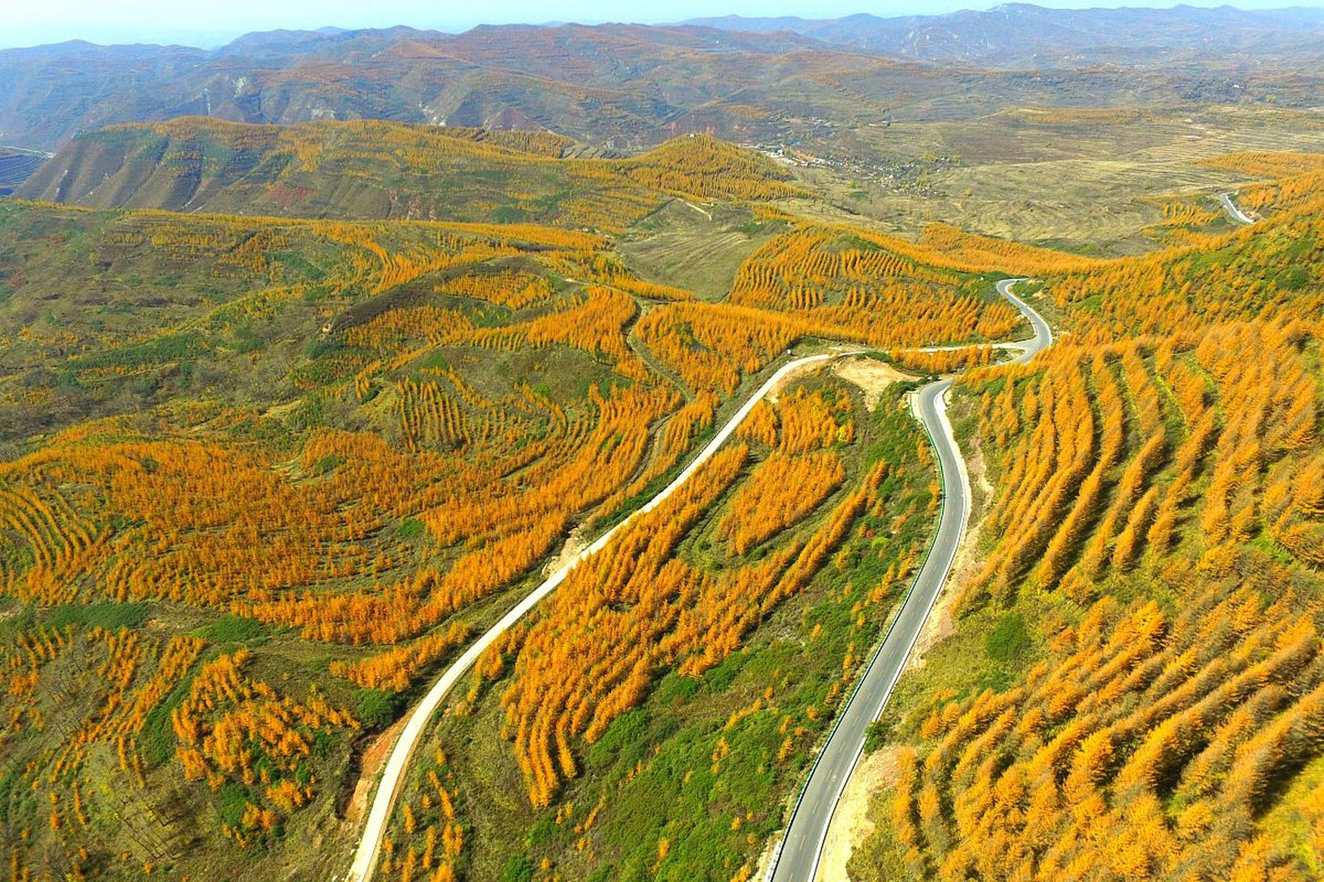 九月动态激励计划# 95宁夏回族自治区旅游攻略95  78宁夏回族