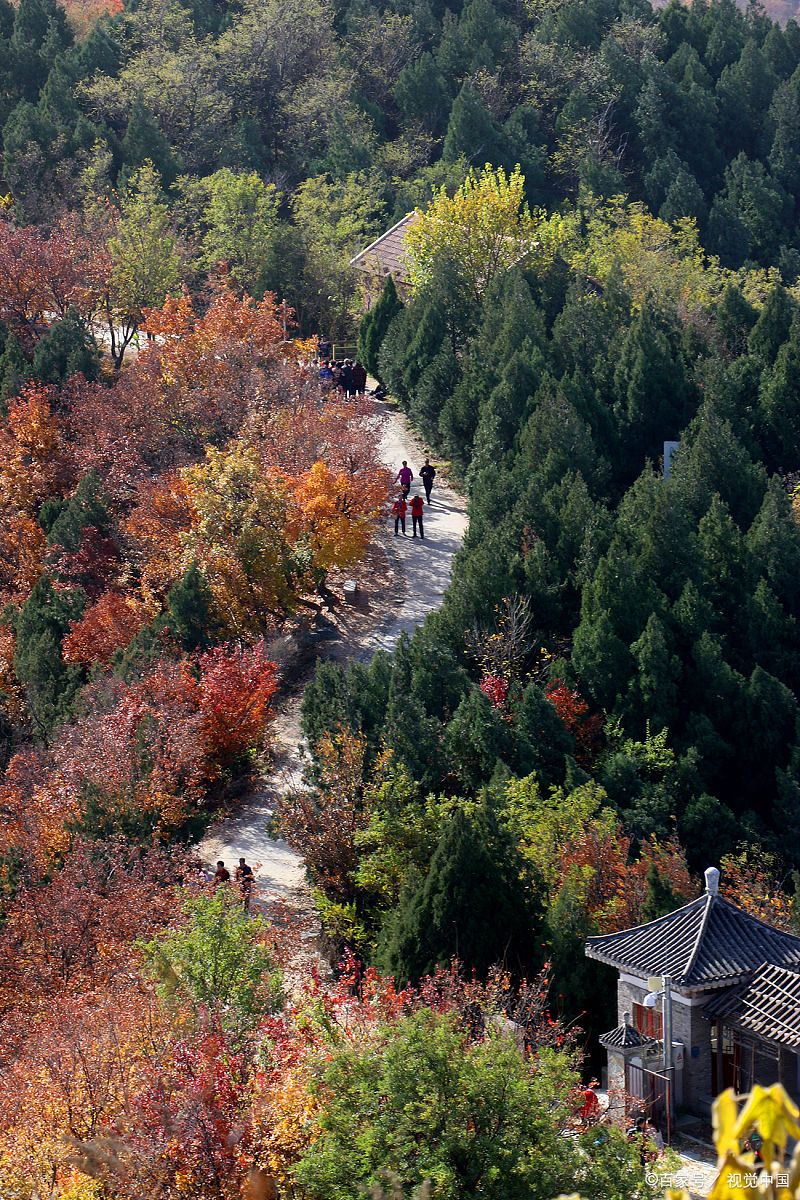 龙首山公园图片