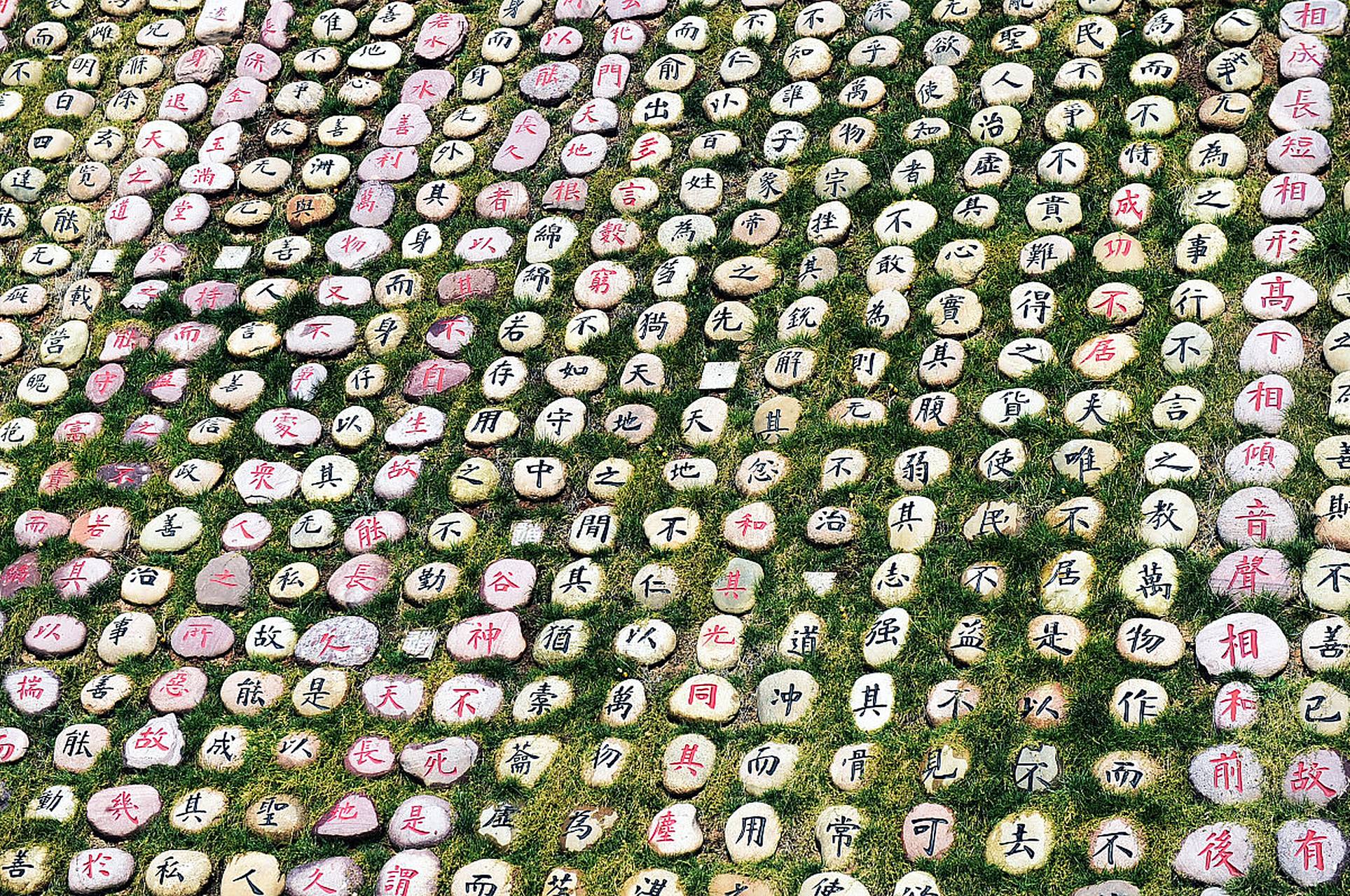 "芸芸众生",这个词大家应该都听过,那你知道它是什么意思吗?