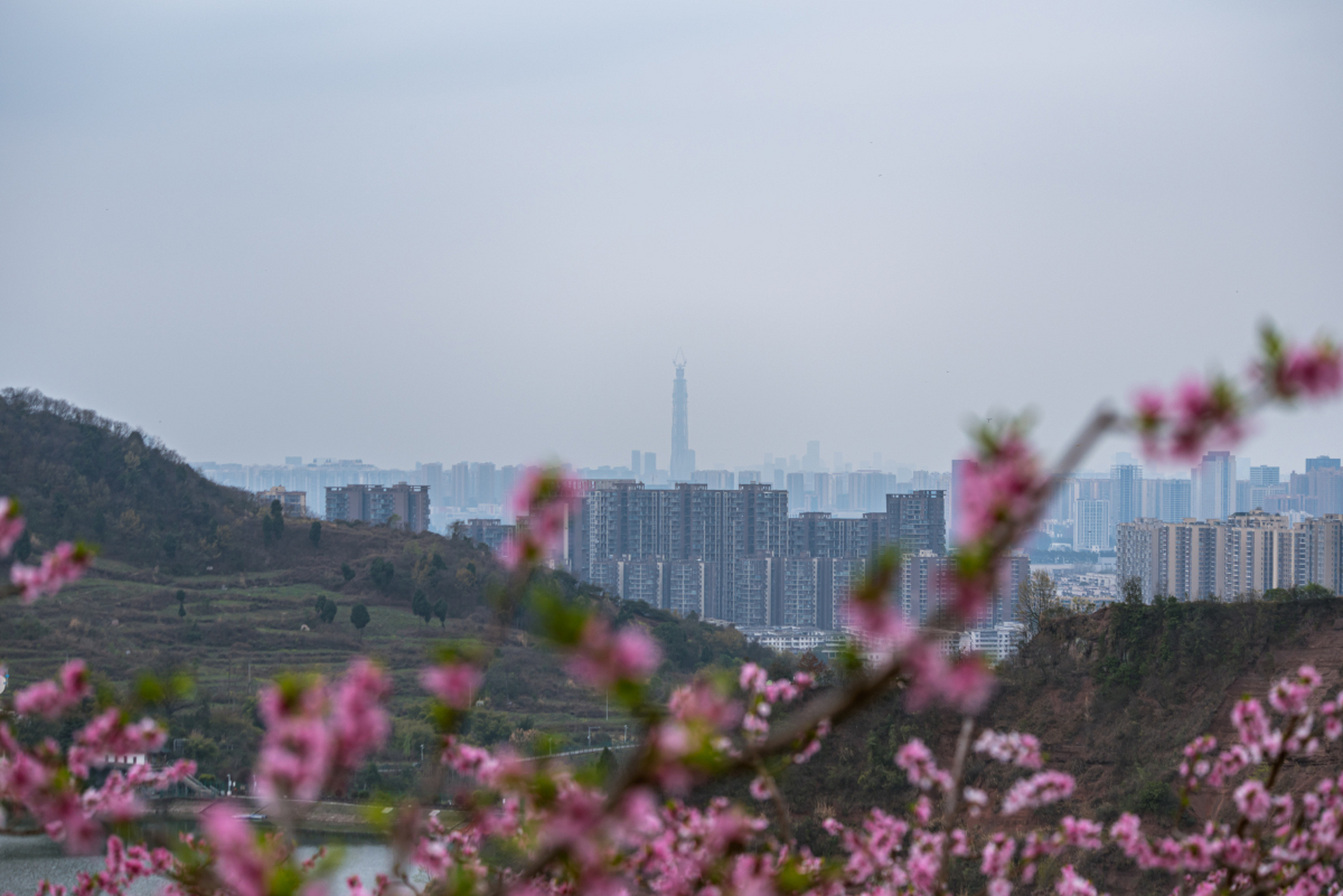 成都龙泉桃花沟图片