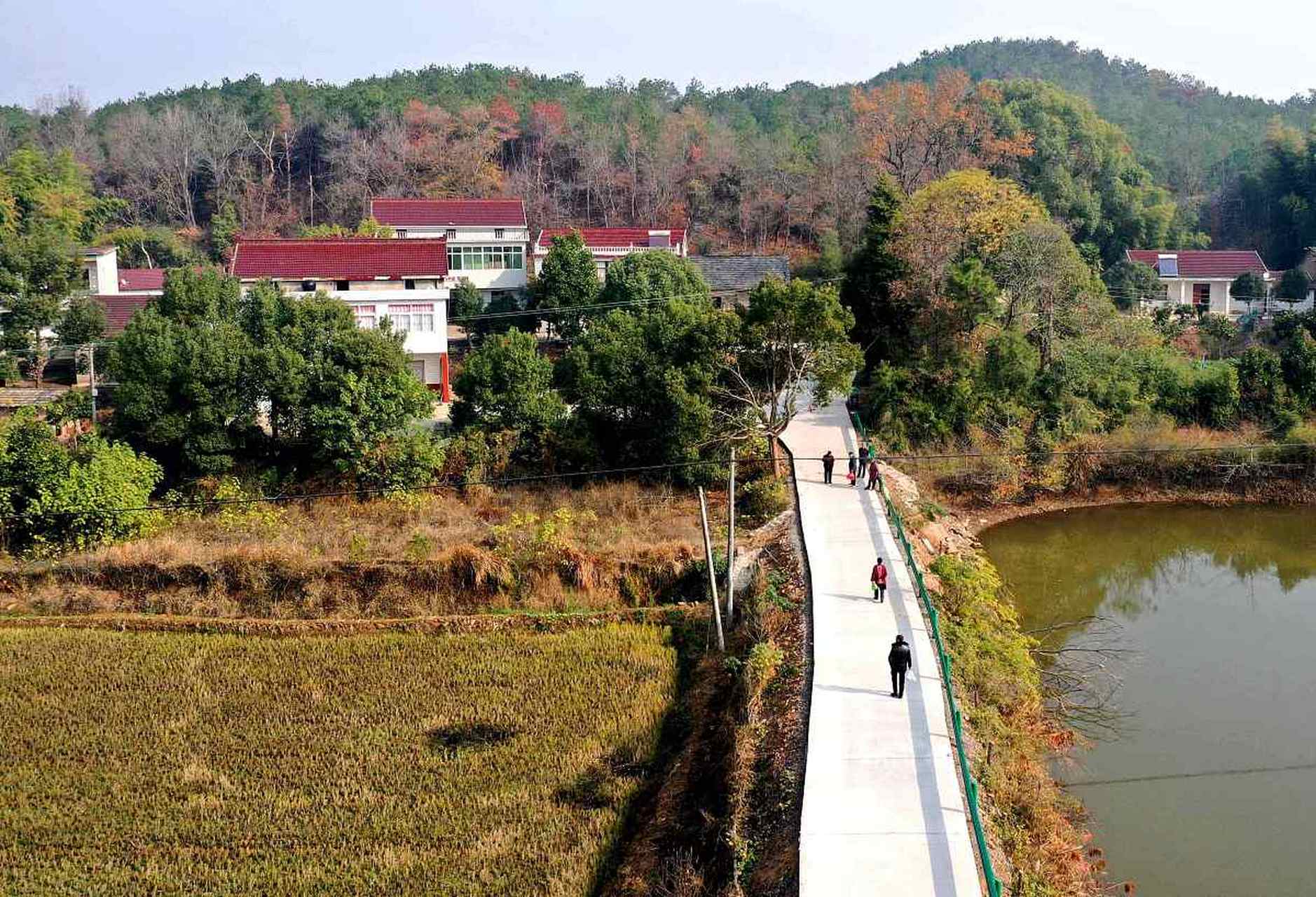 湖北大冶的"上冯村",这个被称为"九古奇村"的地方.