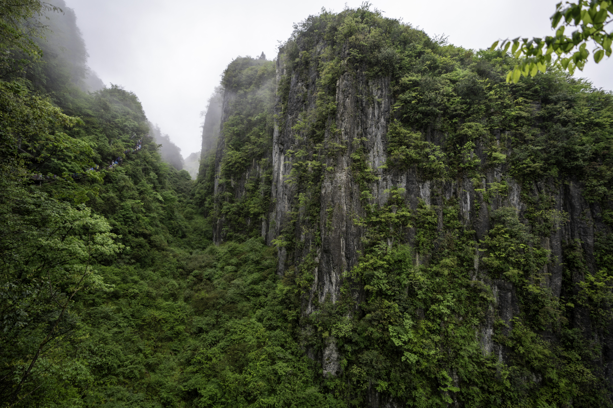 这次去重庆涪陵武陵山国家森林公园,简直就是我人生中的一次绝美体验!