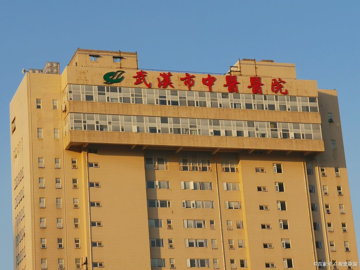 武汉市中心医院（华中科技大学同济医学院附属仁济医院、武汉市第二医院）黄牛挂号联系方式的简单介绍
