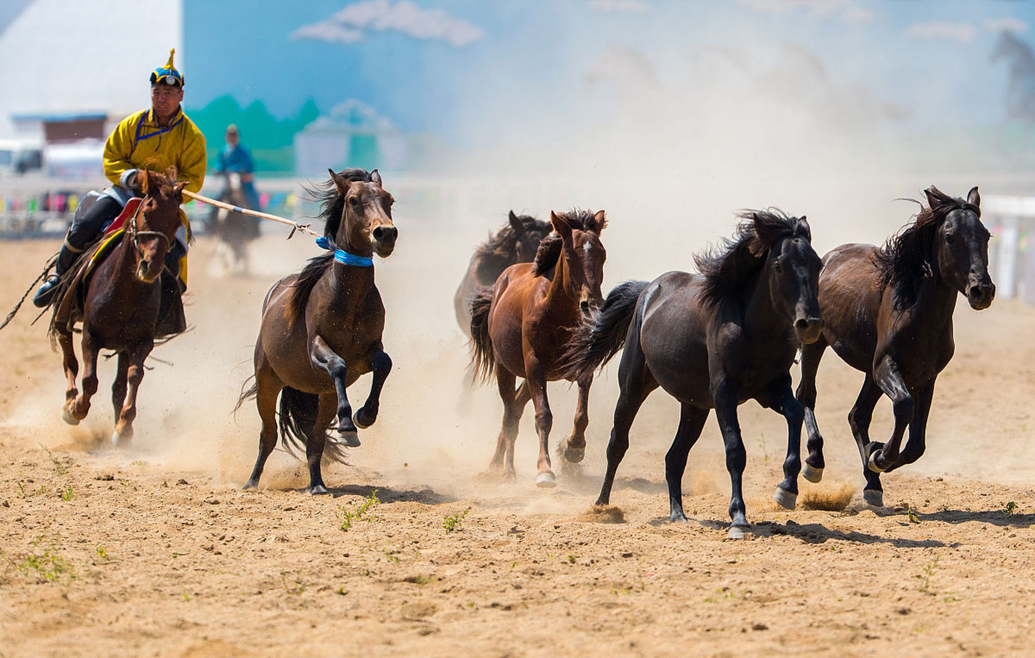 蒙古马:草原之骄,驰骋天涯的传奇  蒙古马,作为草原上的骄子,自古以来