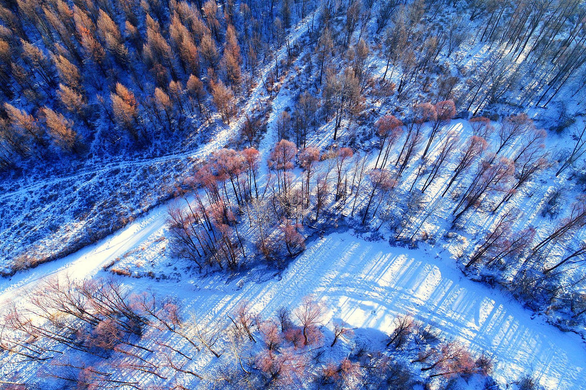 林海雪原二当家图片