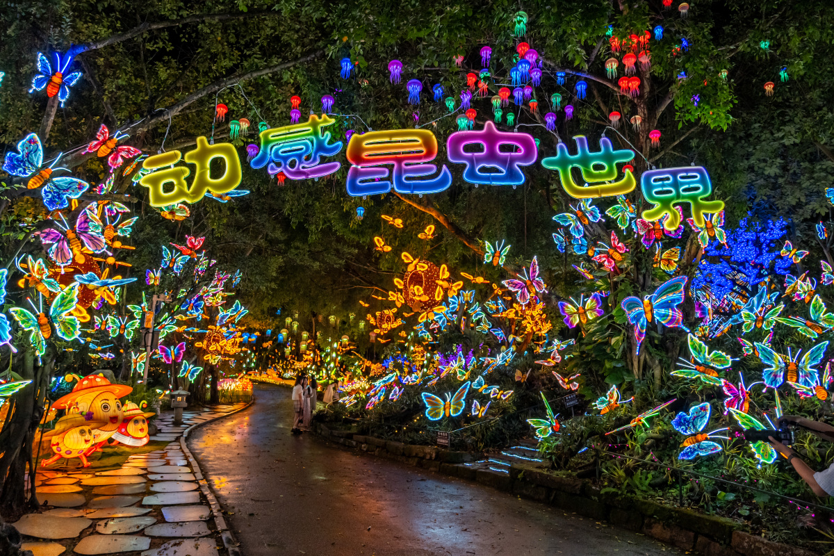 南宁夜花园开启新篇章
