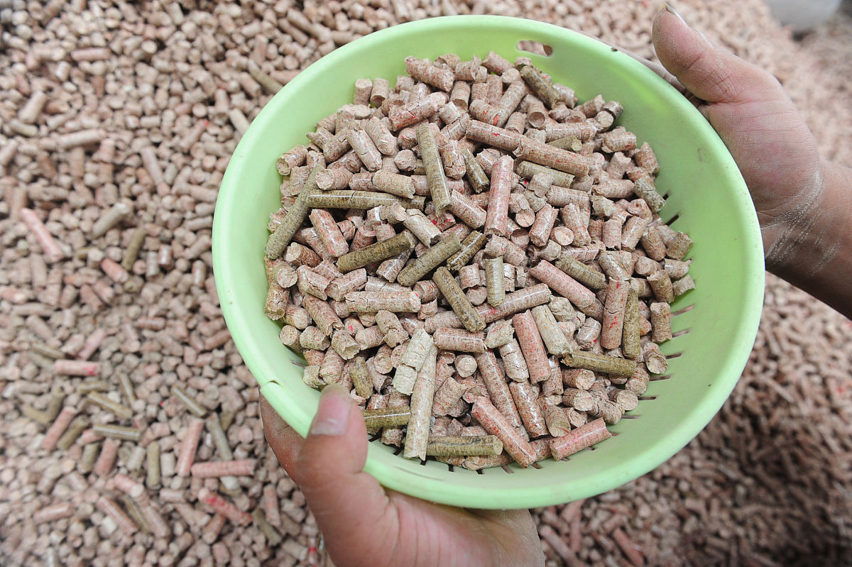 创业项目玉米棒子芯