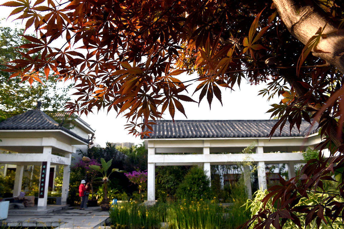 在职场的风风雨雨中,回首往事,我开始更深刻地思考