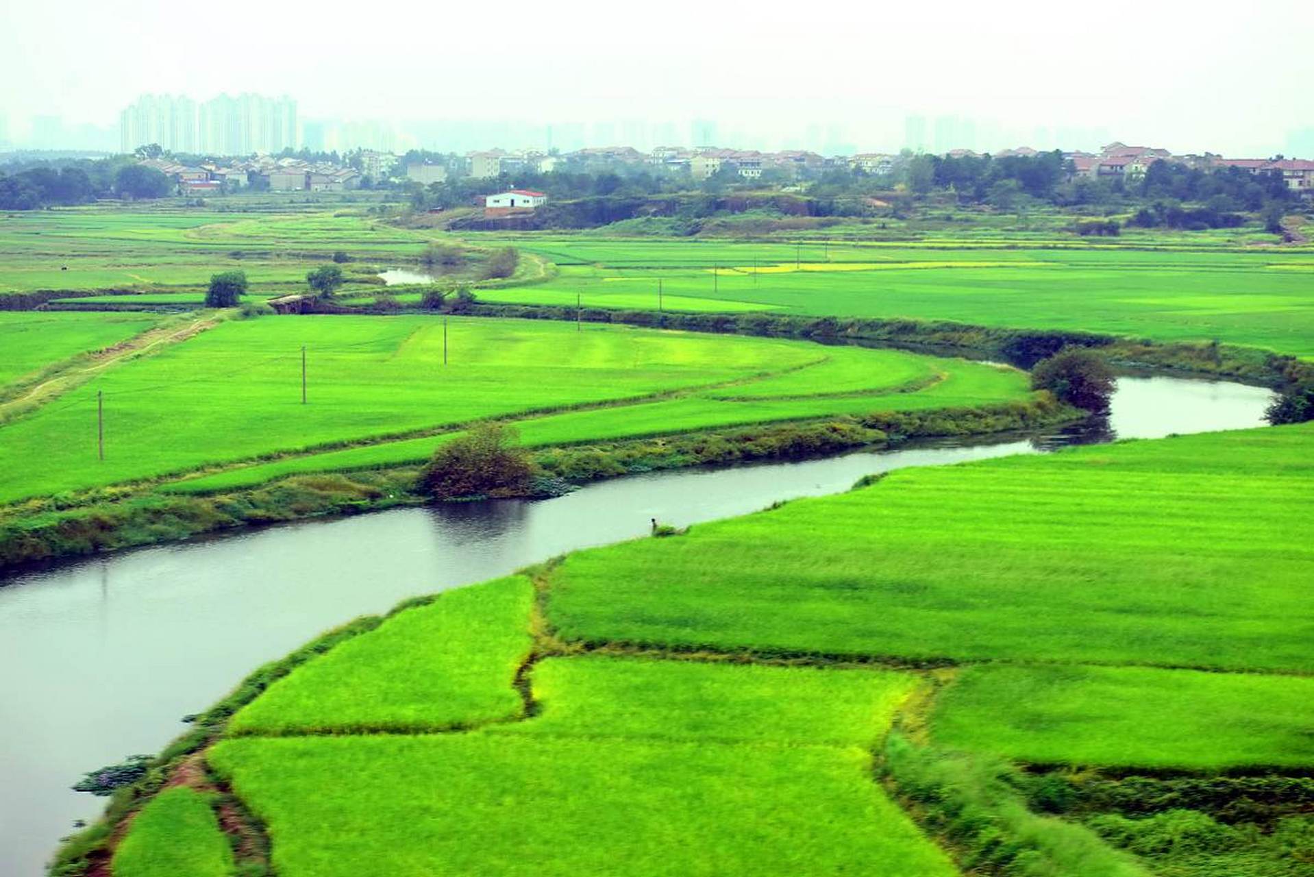 金秋图文动态创作节# 一水护田将绿绕,两山排筏送青来——自然与生活