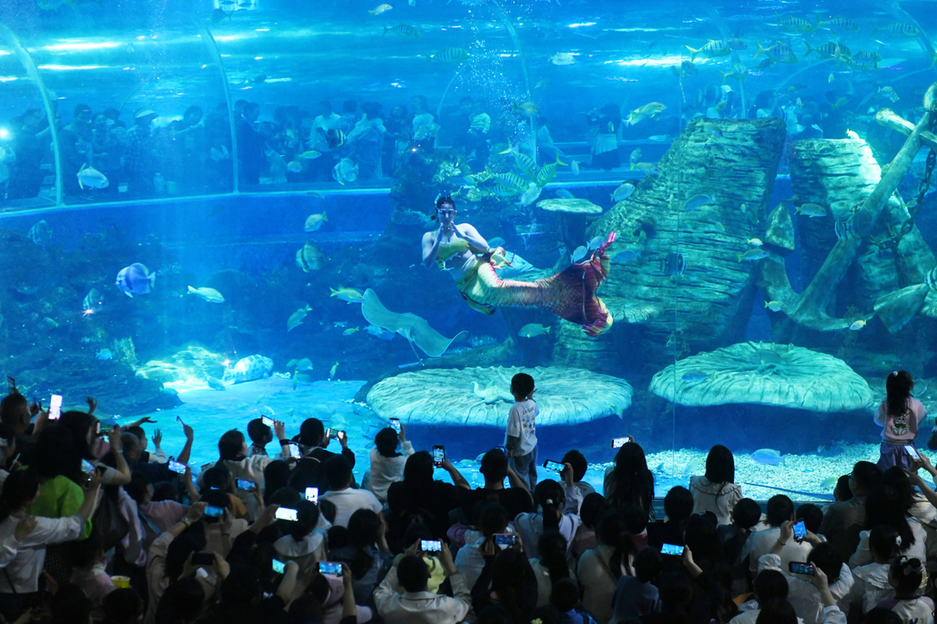 重庆汉海海洋公园:探秘蓝色梦幻世界  99 景点亮点 重庆汉海海洋