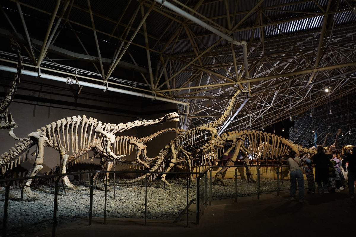 哇,各位小伙伴们,我刚从重庆自然博物馆回来,简直大开眼界啊!